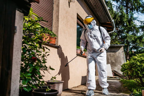 Best Local Pest Control Services  in Alhambra, CA